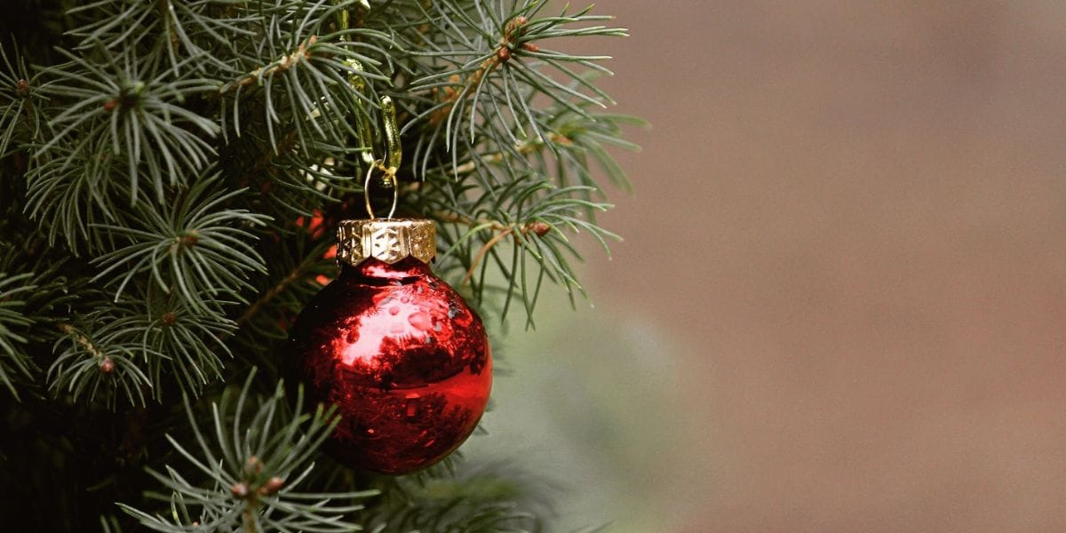 ¿Feriado largo en Navidad? Presentan proyectos para declarar festivo el 26 de diciembre