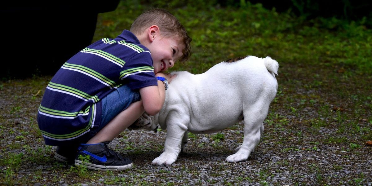 Niño pidió que donen para ayudar a perritos en lugar de regalos por su cumpleaños
