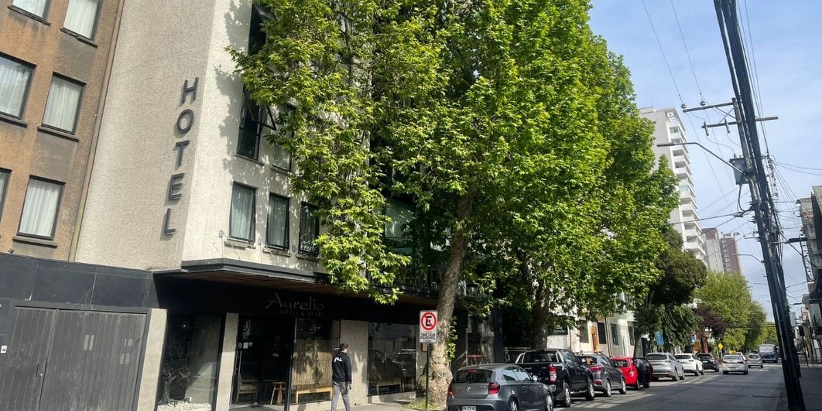En Chile construir edificios verdes o amigables con el medio ambiente es considerado un lujo y SII cobra más impuestos