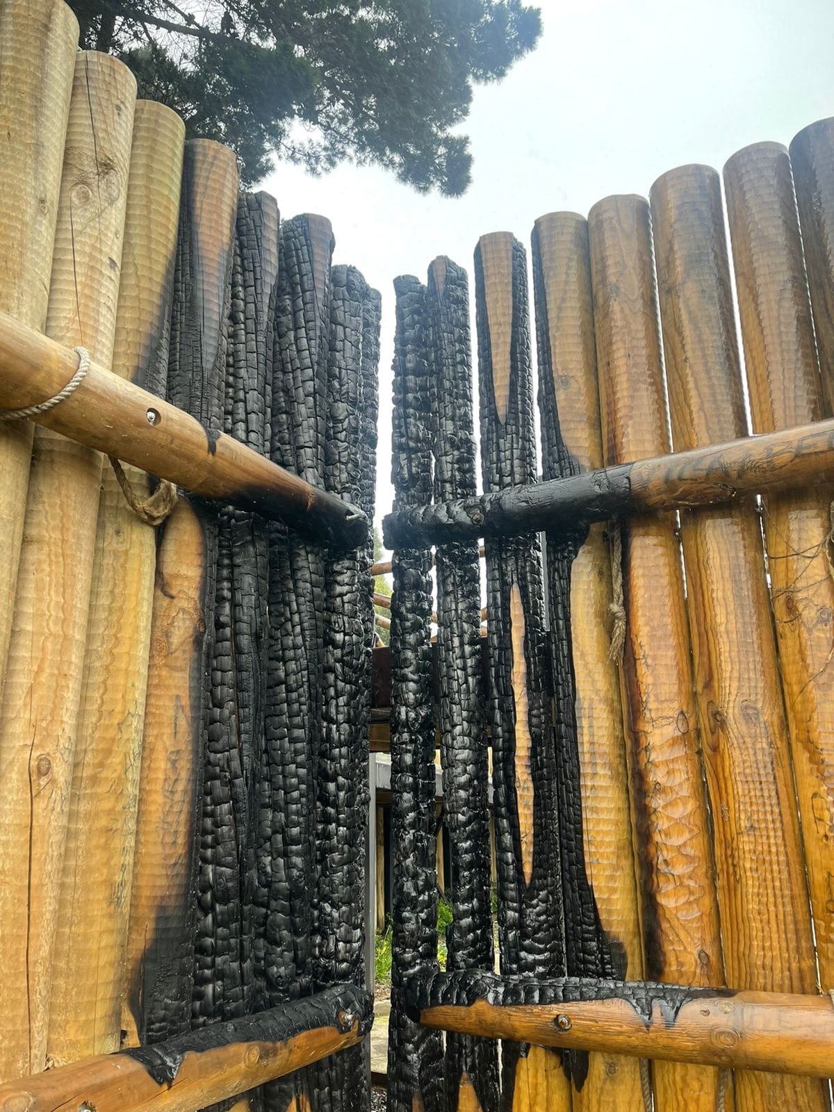 Al menos en dos oportunidades ha sido vandalizada la “Empalizada de Penco”