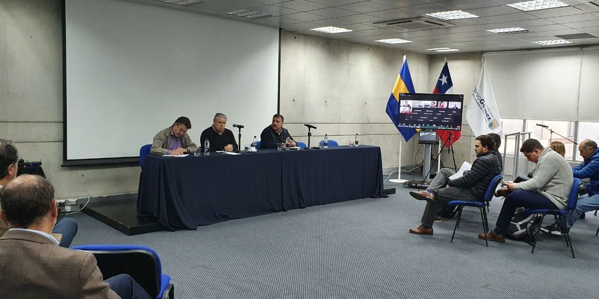 Ante negativa a trenes de doble carga: Mesa Comex recalcó necesidad de reforzar sistema ferroviario en el Biobío