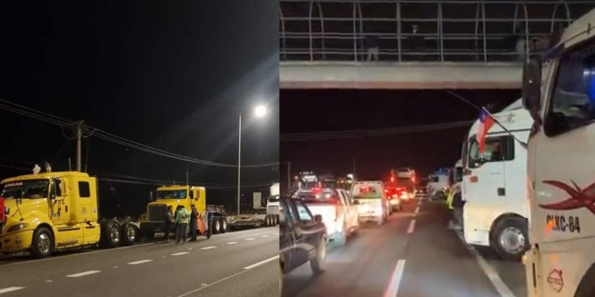 Camioneros se paralizan en varias zonas del país: Exigen rebaja de combustible y mayor seguridad