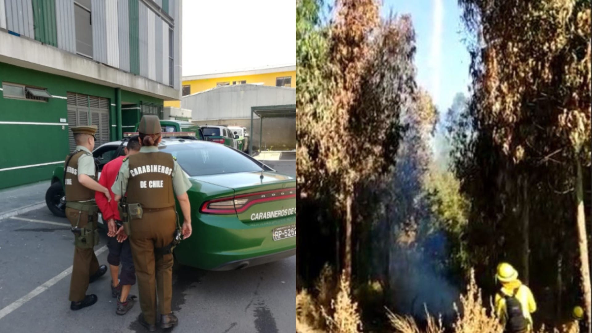Atrapan a hombre como autor de un incendio forestal en Penco: Intentó huir de Carabineros