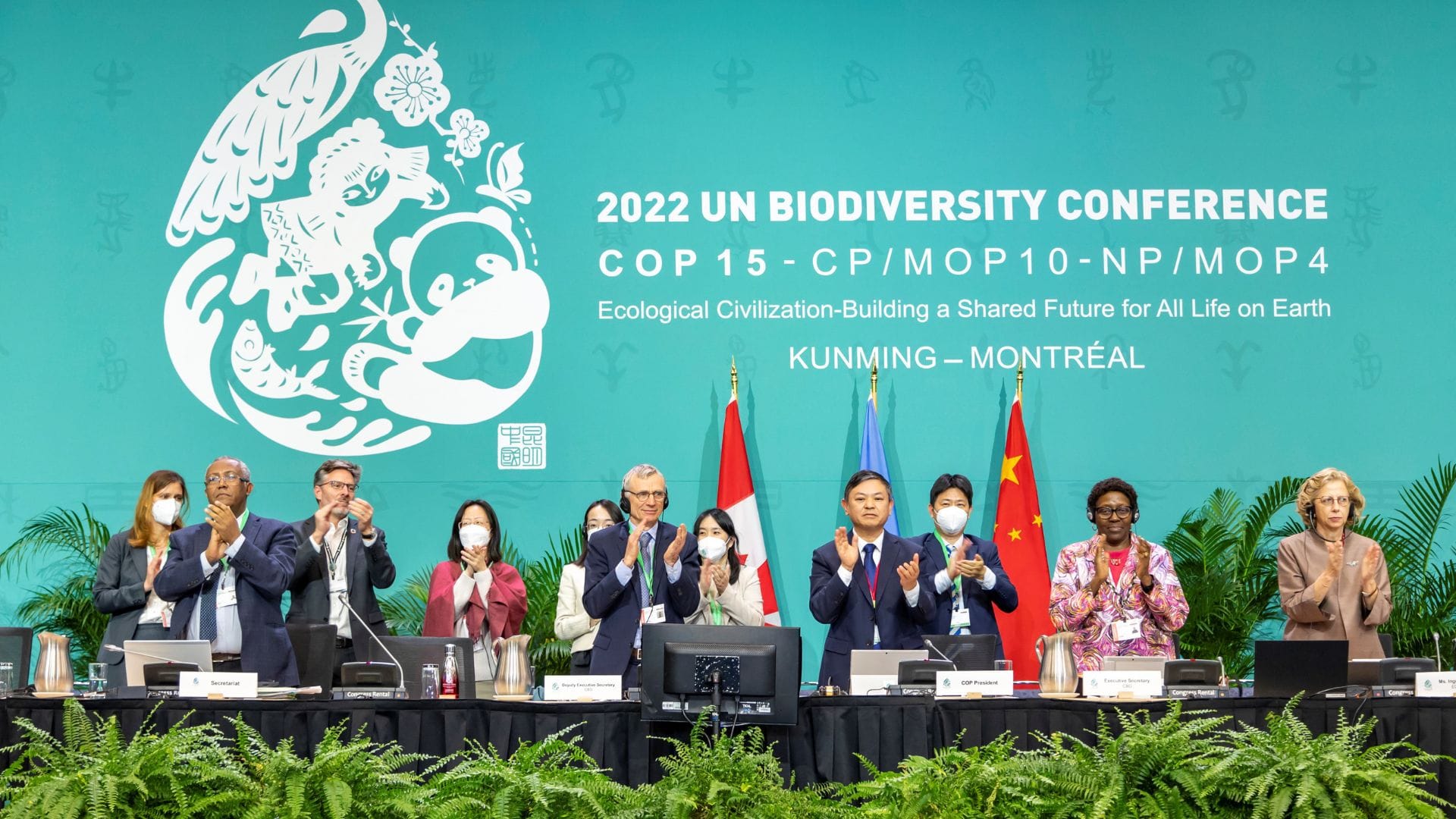 COP15 logró acuerdo mundial histórico para proteger la naturaleza: Apunta a evitar su declive en 2030