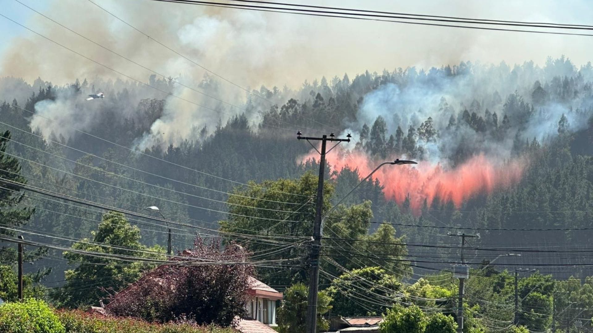 Chiguayante en Alerta Roja por incendio: Vecinos amanecieron regando sus techos
