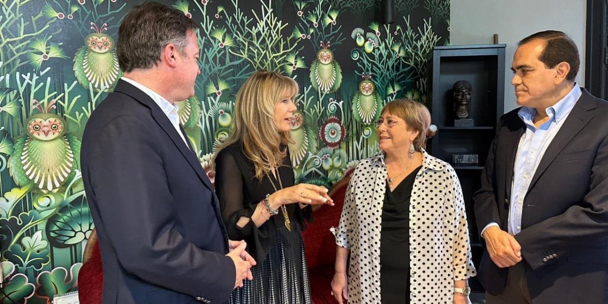 “Está dispuesta a colaborar”: Demócratas tras reunirse con Bachelet por nuevo proceso constituyente