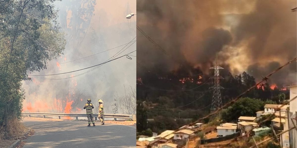 Onemi declara Alerta Roja en Viña del Mar tras incendio registrado en Jardín Botánico