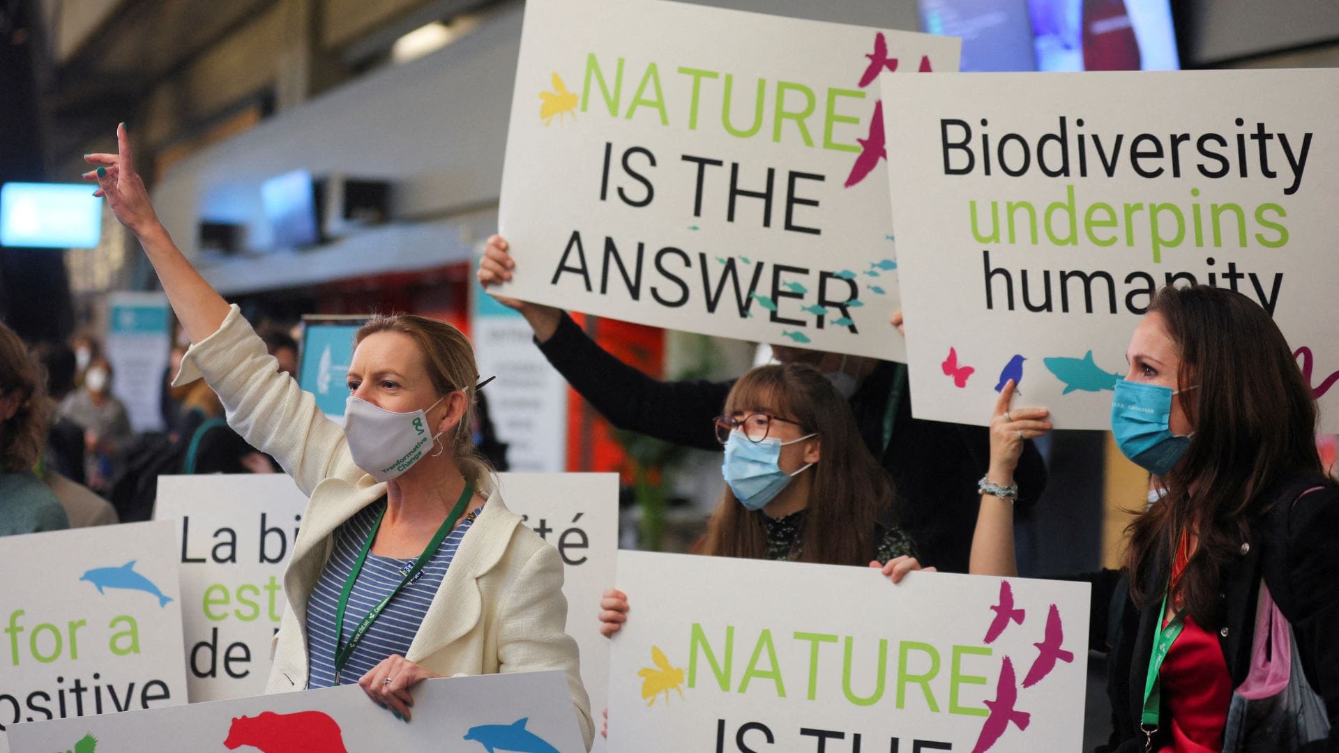 Cumbre de la ONU presenta un nuevo proyecto de acuerdo para proteger la naturaleza
