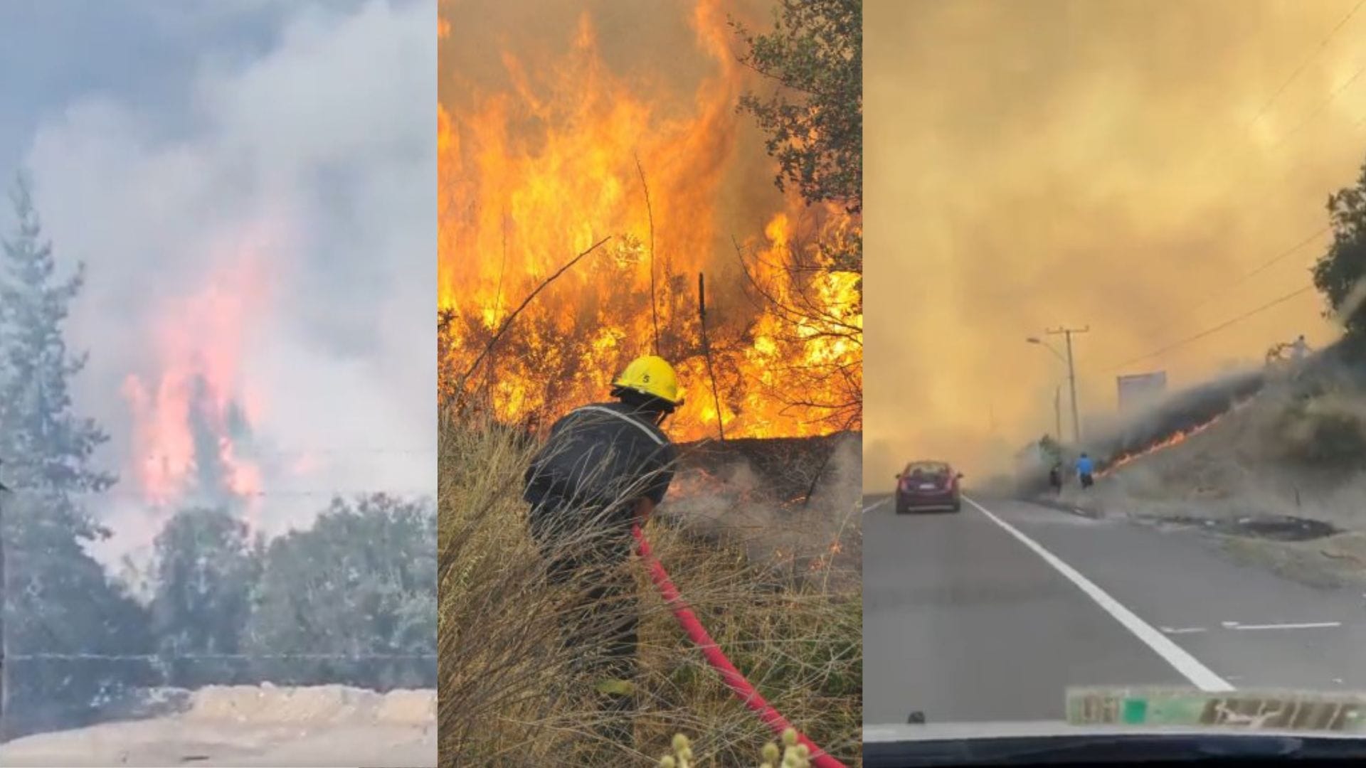 Declaran Alerta Roja en Laja: Se estiman 30 hectáreas afectadas por incendio forestal