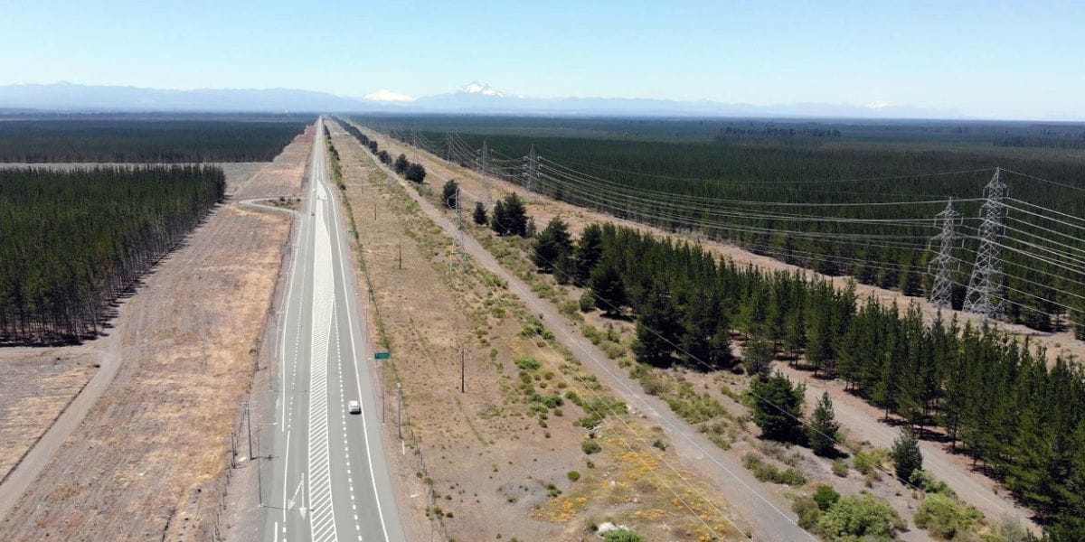 Inauguran cordón de protección contra incendios que protegerá a 2 mil vecinos de Biobío y Ñuble