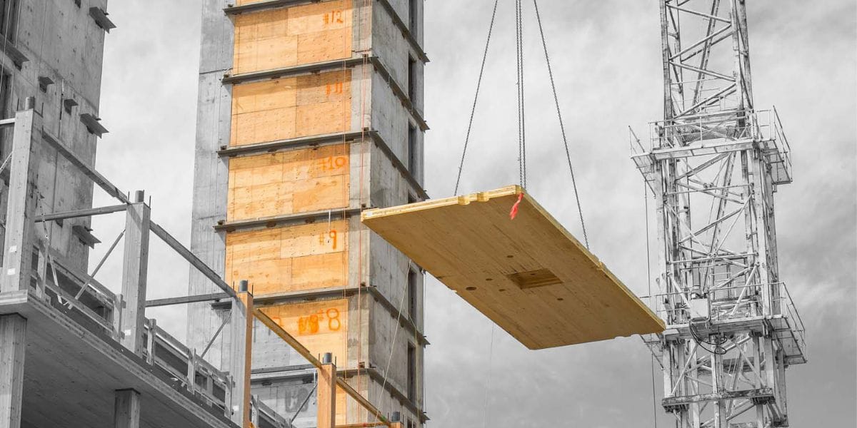 El potencial uso de la madera para abordar el déficit habitacional en el Biobío