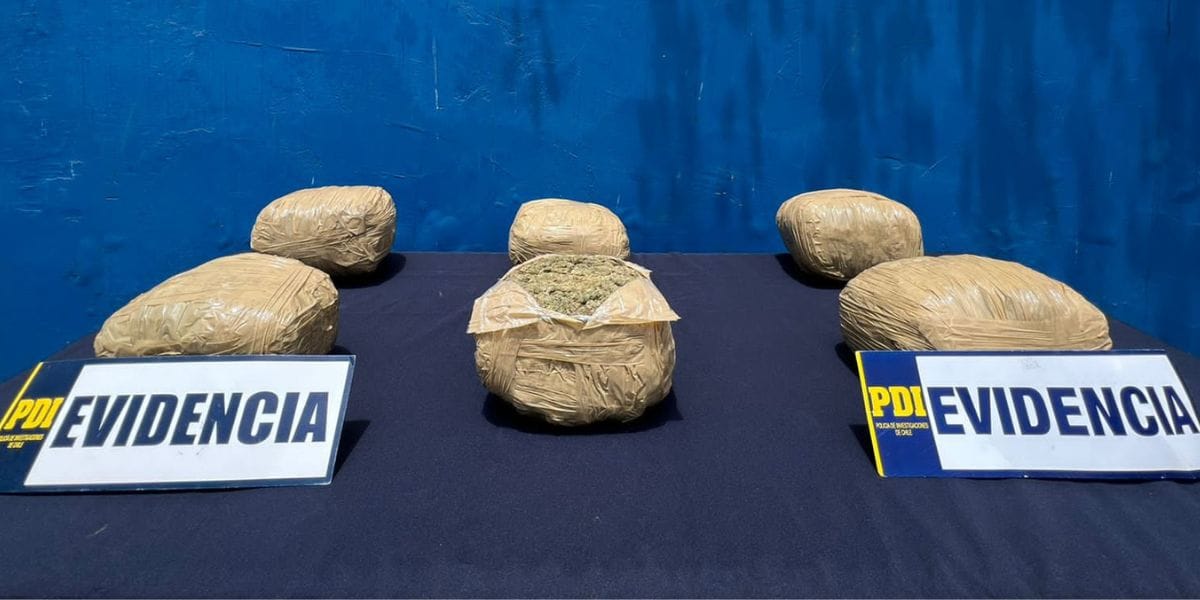 Atrapan a sujetos que traían droga a Concepción desde el norte de Chile
