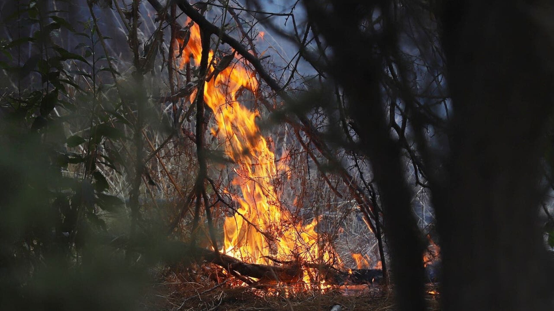 El dramático relato de vecinos de Laja que zafaron por centímetros del incendio