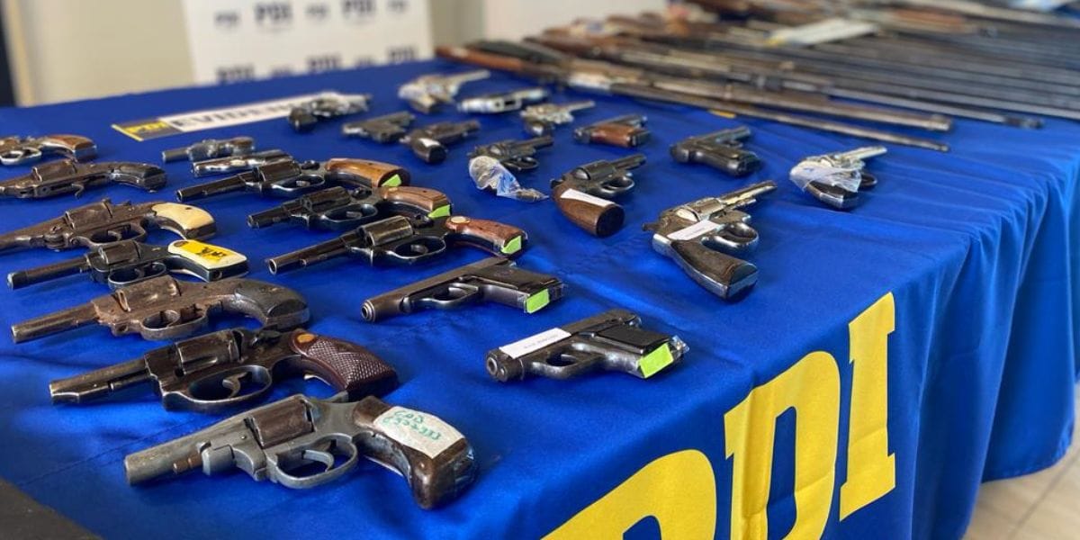 Logran recuperar 60 armas en diversas comunas de la Provincia del Biobío