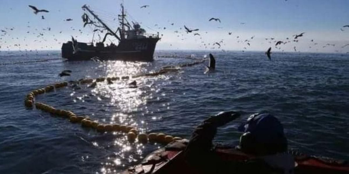 Más de mil pescadores del Biobío participaron de encuentros para tener una nueva Ley de Pesca