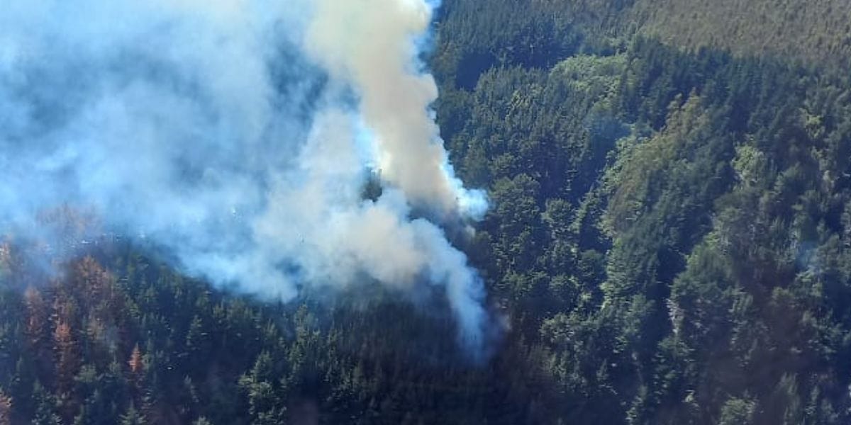 Existen indicios de intencionalidad en incendio de Tomé: Delegación podría presentar querella