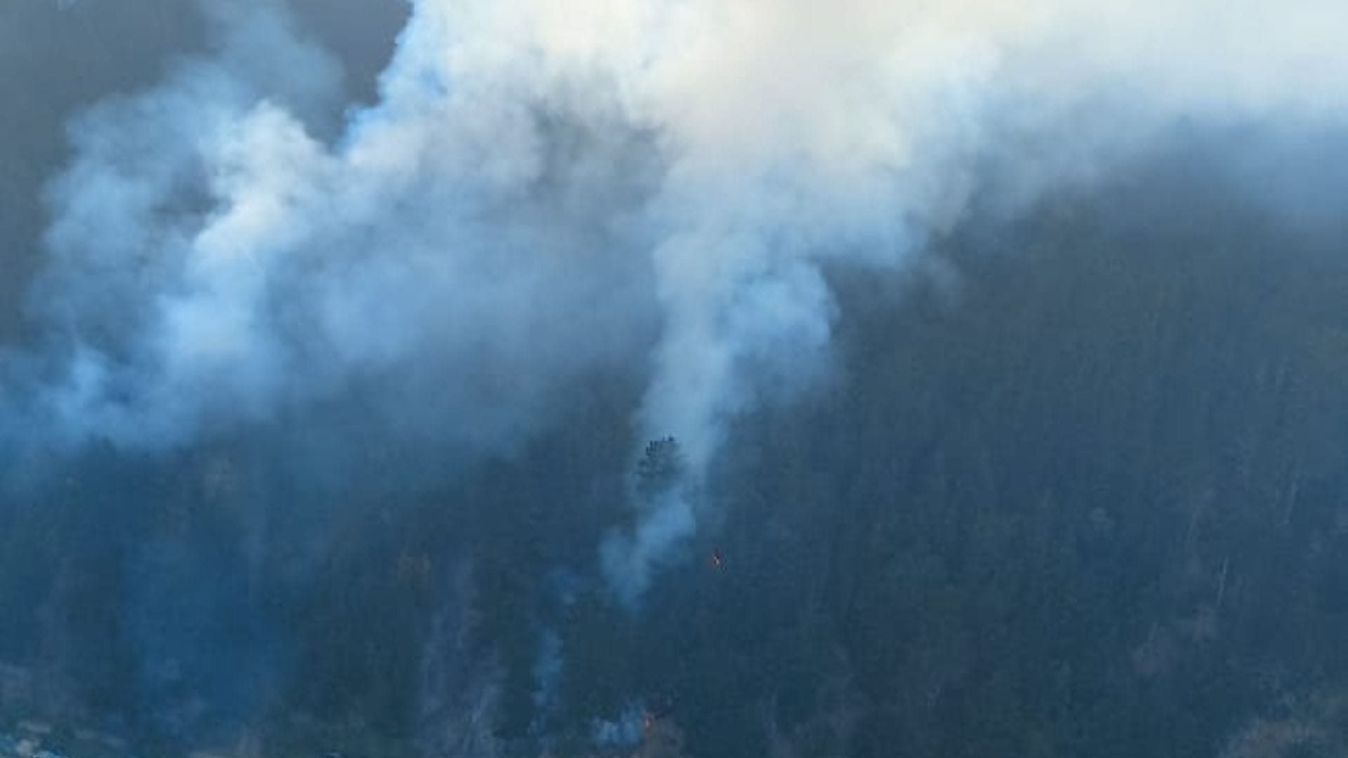 Ya van tres días: Incendio continua activo y aún afecta a sector Los Tilos en Tomé