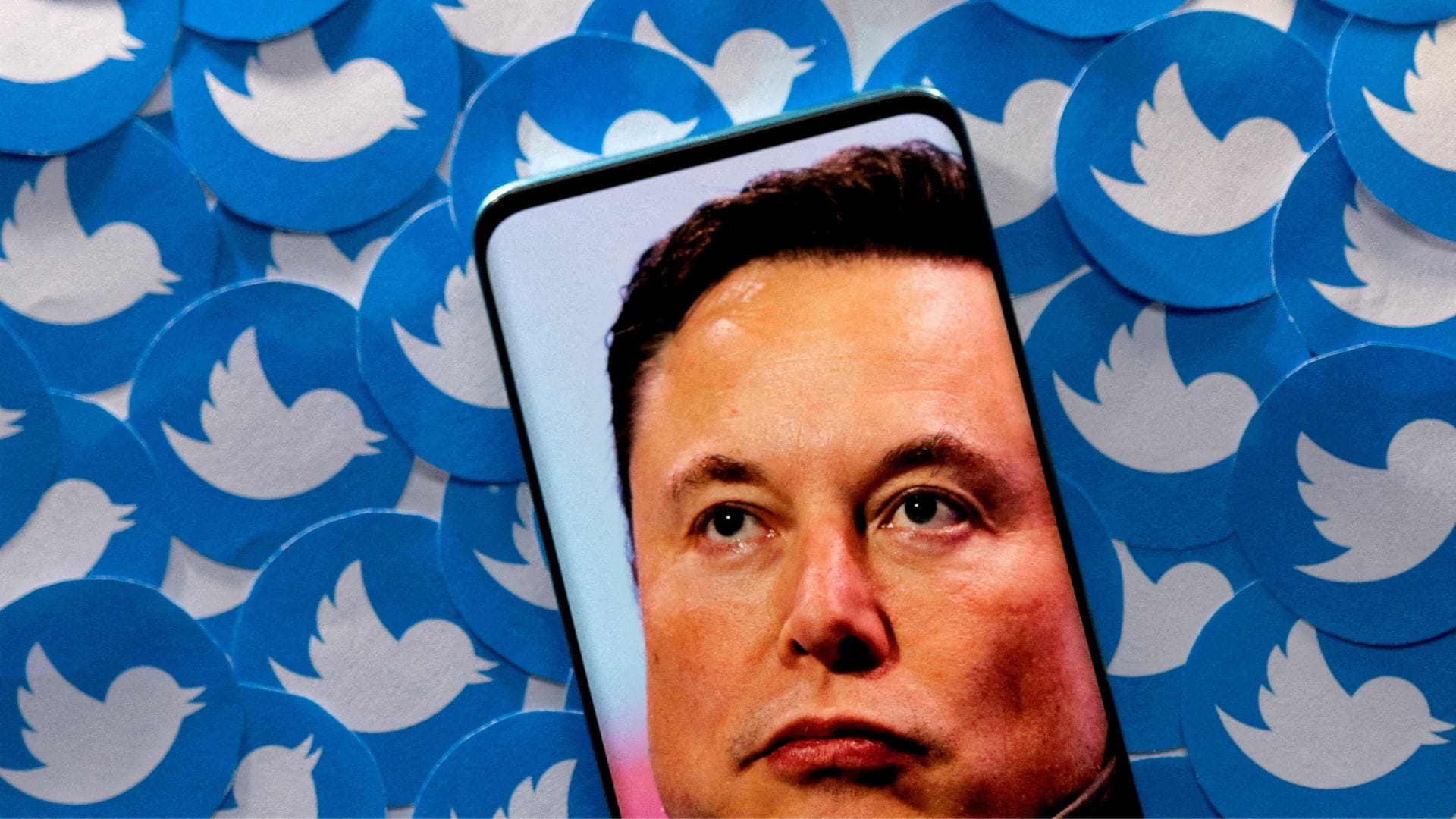¿Debe renunciar como jefe de Twitter?: Musk lanzó encuesta para que usuarios decidan