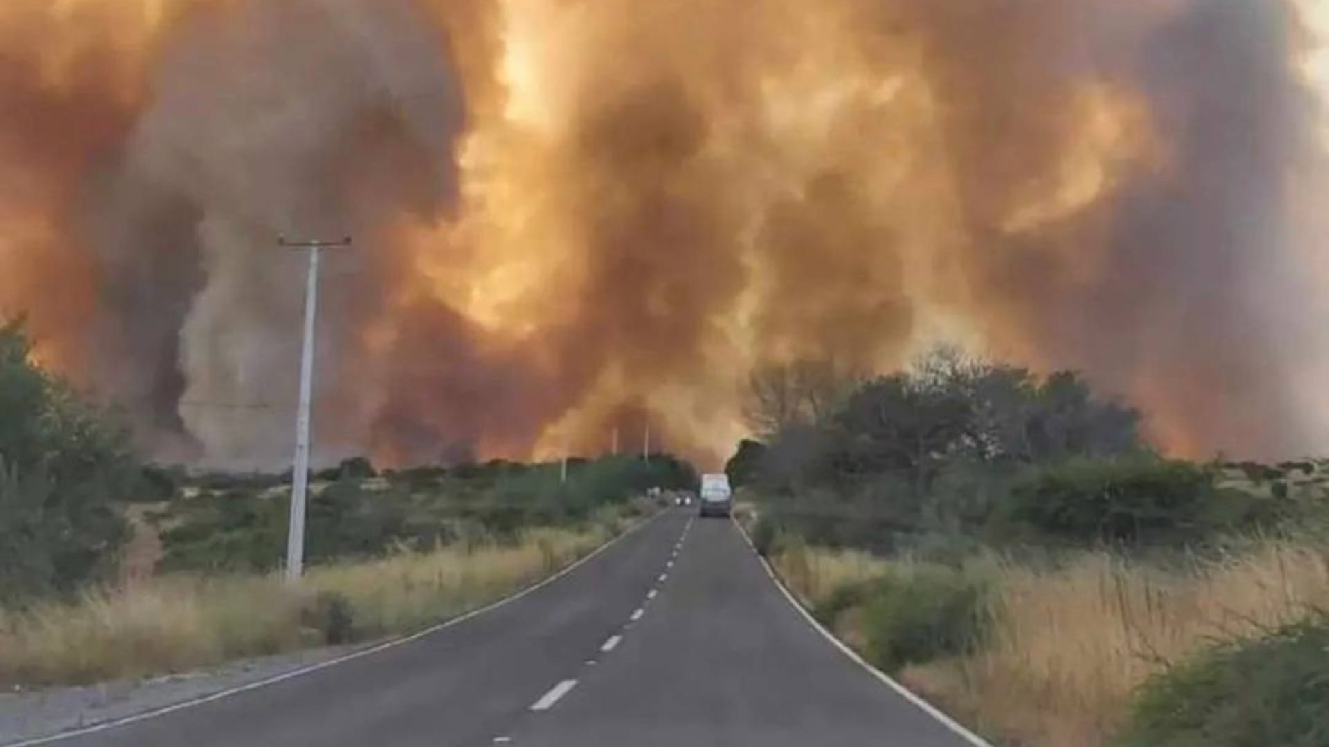 Onemi estima que incendios forestales en la Región Metropolitana continuarán un par de días