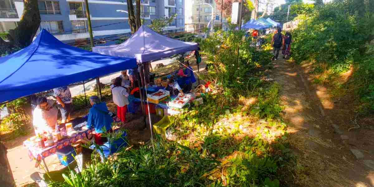 Feria Orgánica de Concepción se consolida como espacio para promover el desarrollo sustentable