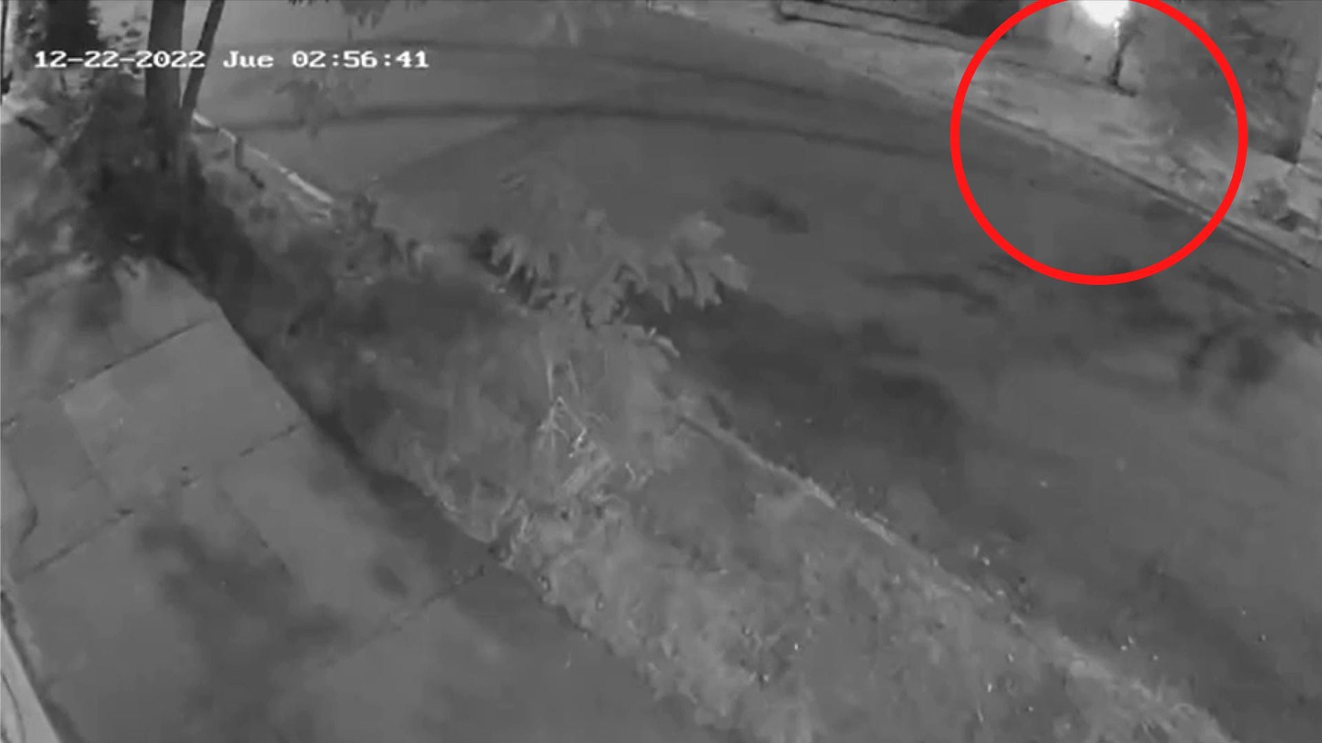 Impactante vuelco: Video revela que incendio donde murió madre y dos hijos fue intencional