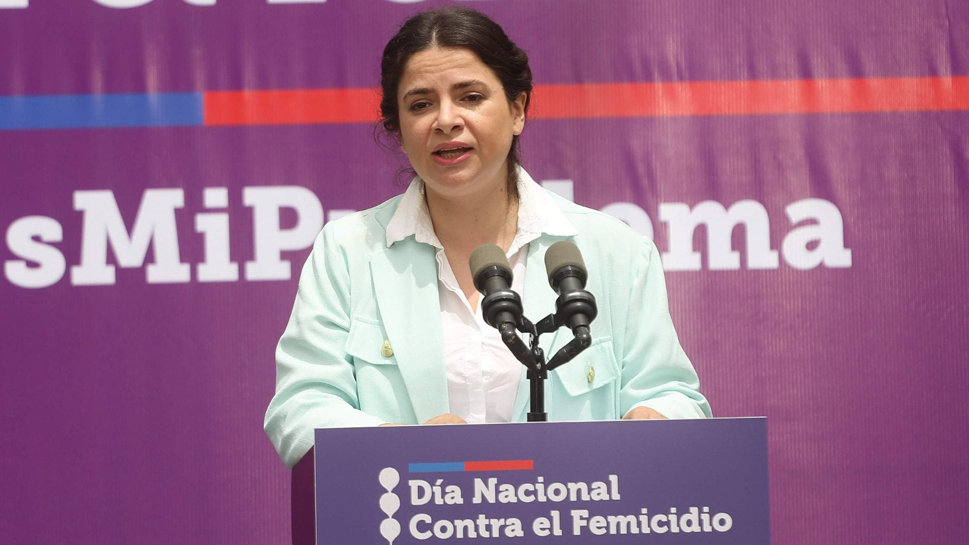 Orellana denuncia que amigas de matrona asesinada en Arica buscaron ayuda en anterior seremi pero no activaron protocolos