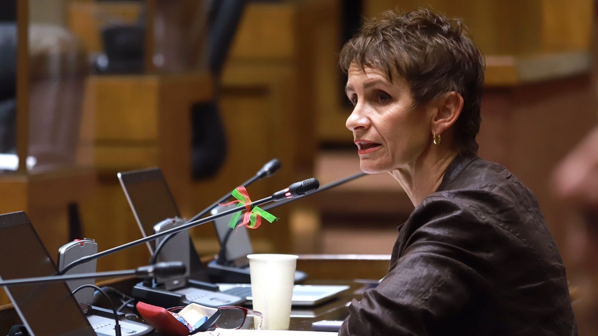 Ministra Tohá asegura que “en Chile el territorio no está tomado por el crimen organizado”