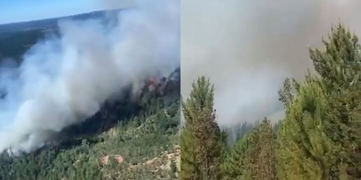 Cancelan Alerta Roja en Santa Juana por incendio forestal