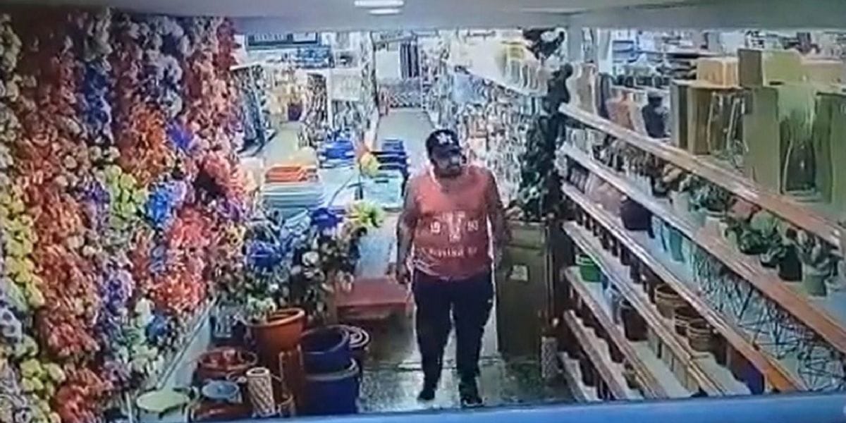 Defensoría de la Niñez presentó querella tras agresión sexual contra niña en mall chino de Los Andes
