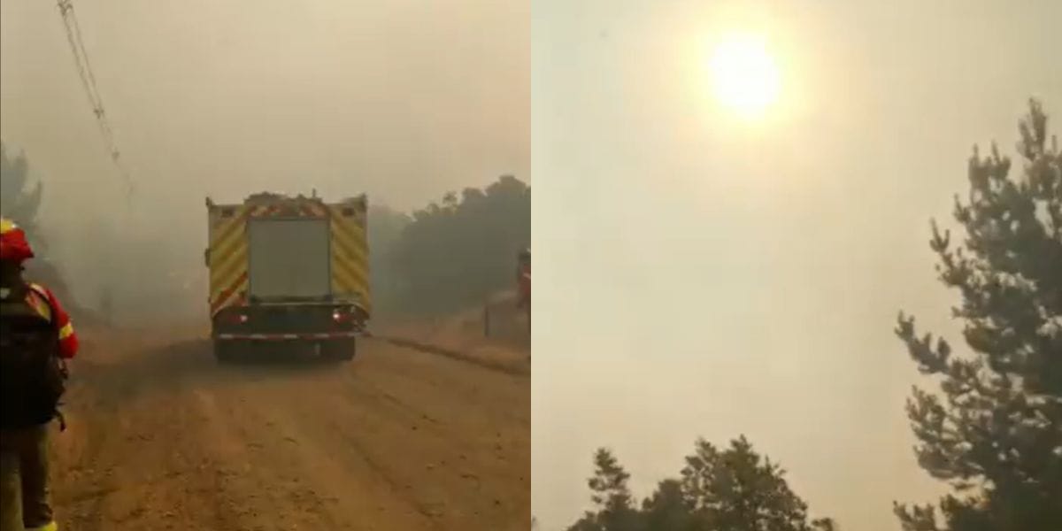 Continúa Alerta Roja en Santa Juana: Incendio forestal se mantiene sin control