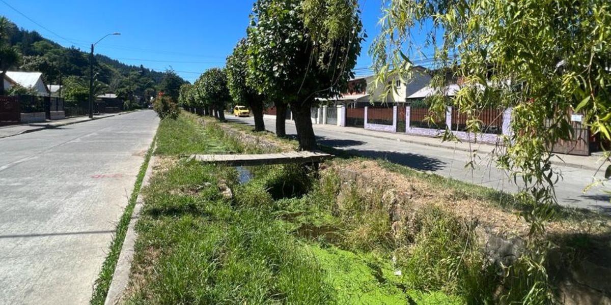 Comienzan obras de evacuación de aguas lluvias del Canal Papen en Chiguayante