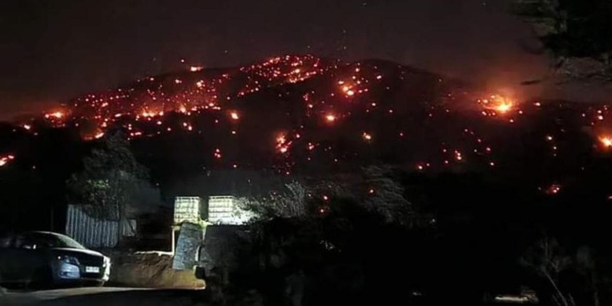 Incendio forestal en Melipilla deja 40 casas quemadas