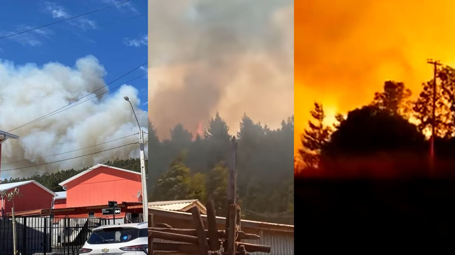Tres comunas del Biobío están con Alerta Roja por incendios forestales