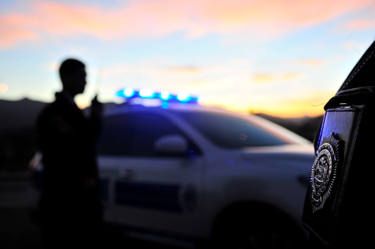 Detienen a cinco sujetos por robo de madera en Coronel