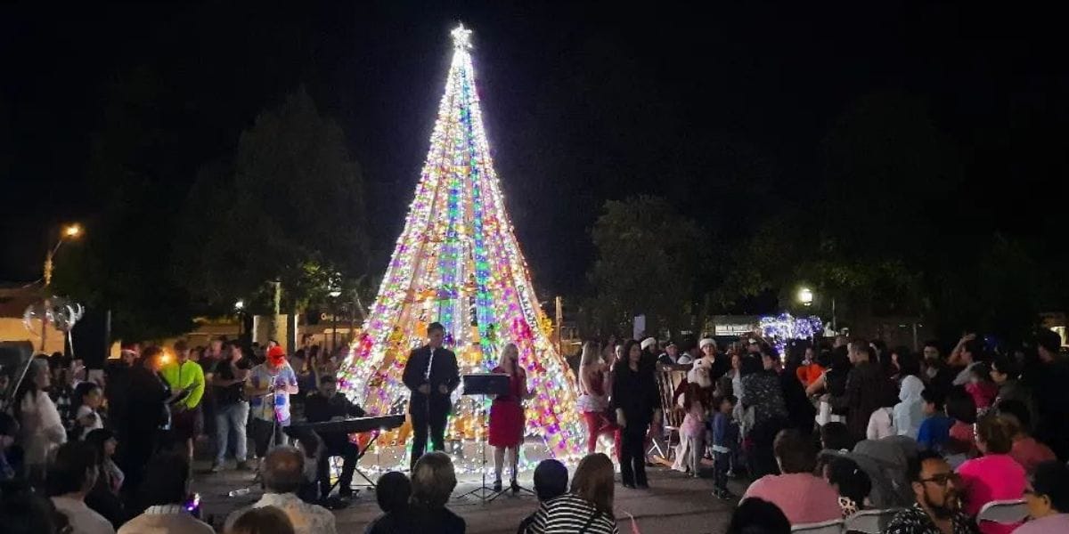 Puntapié inicial a Fiestas de fin de año: Encienden enorme árbol navideño en Santa Juana