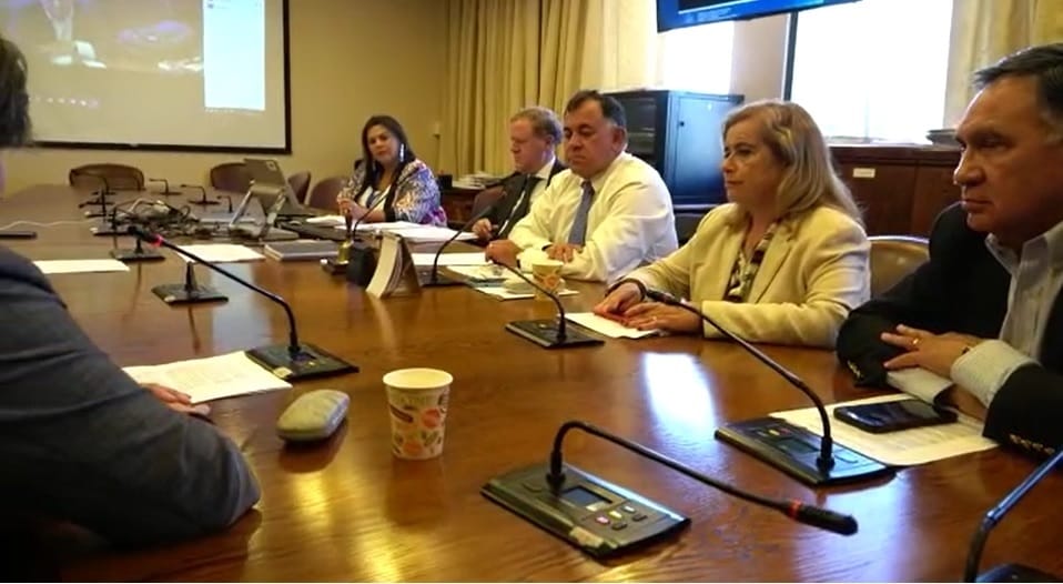 Comisión Investigadora de Robo de Madera entrega principales conclusiones: Serán sometidas a votación