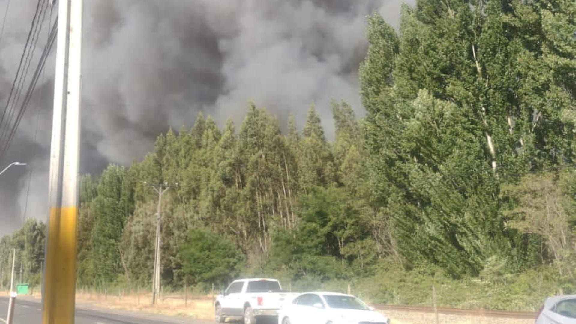 Declaran Alerta Roja para Los Ángeles y Cabrero por incendios: Hay viviendas cercanas al fuego