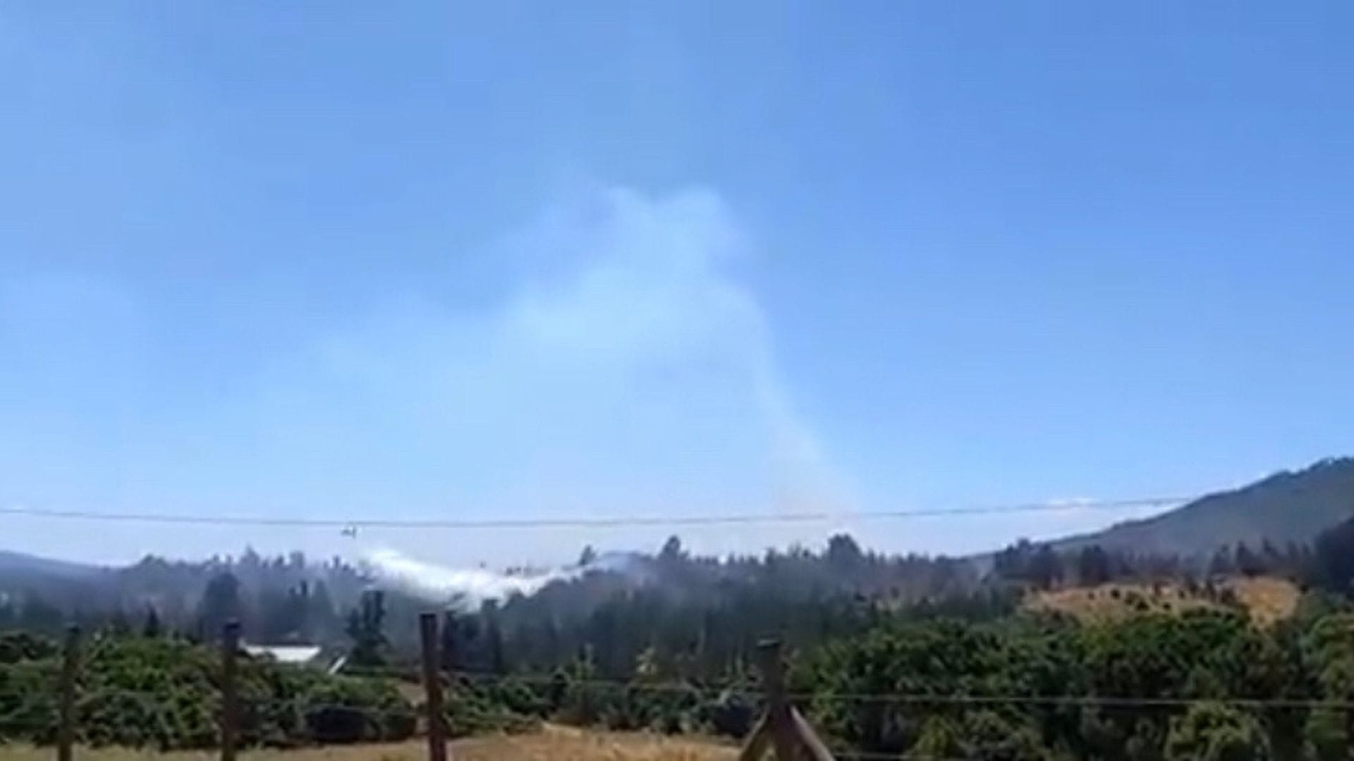 Florida bajo el humo: Incendio forestal mantiene a la comuna en alerta roja