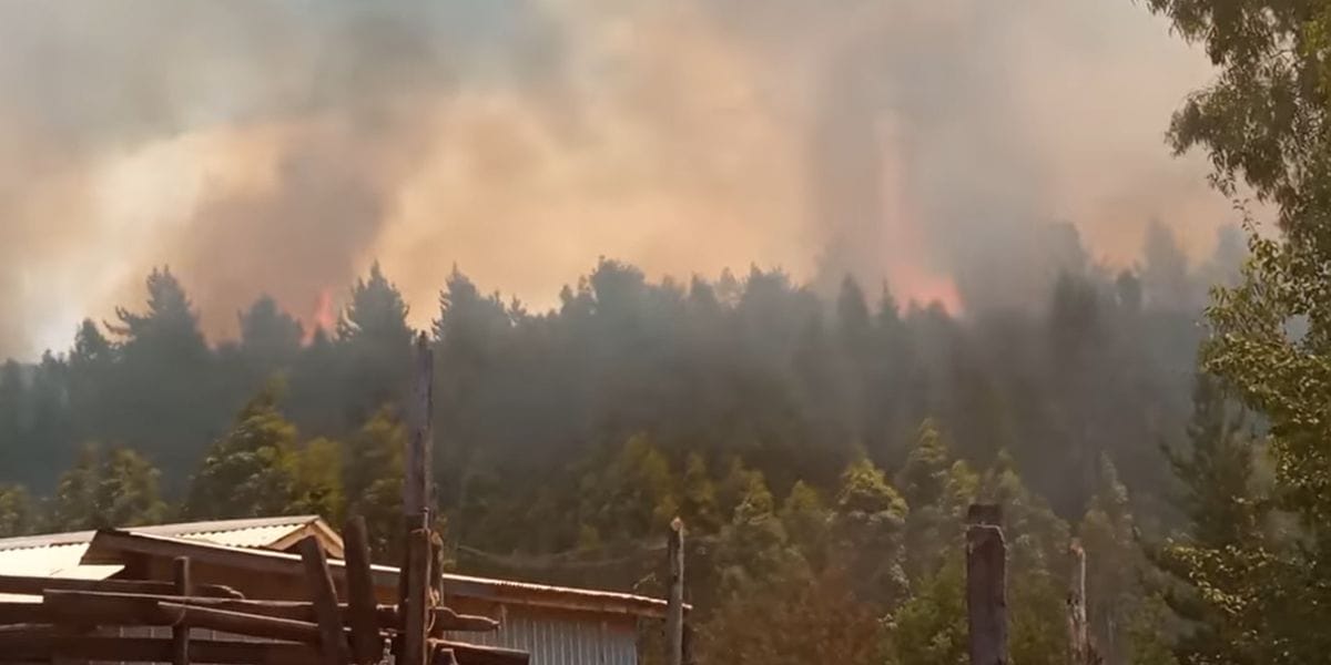 Declaran Alerta Roja para Nacimiento por incendio forestal: Existe amenaza directa a viviendas