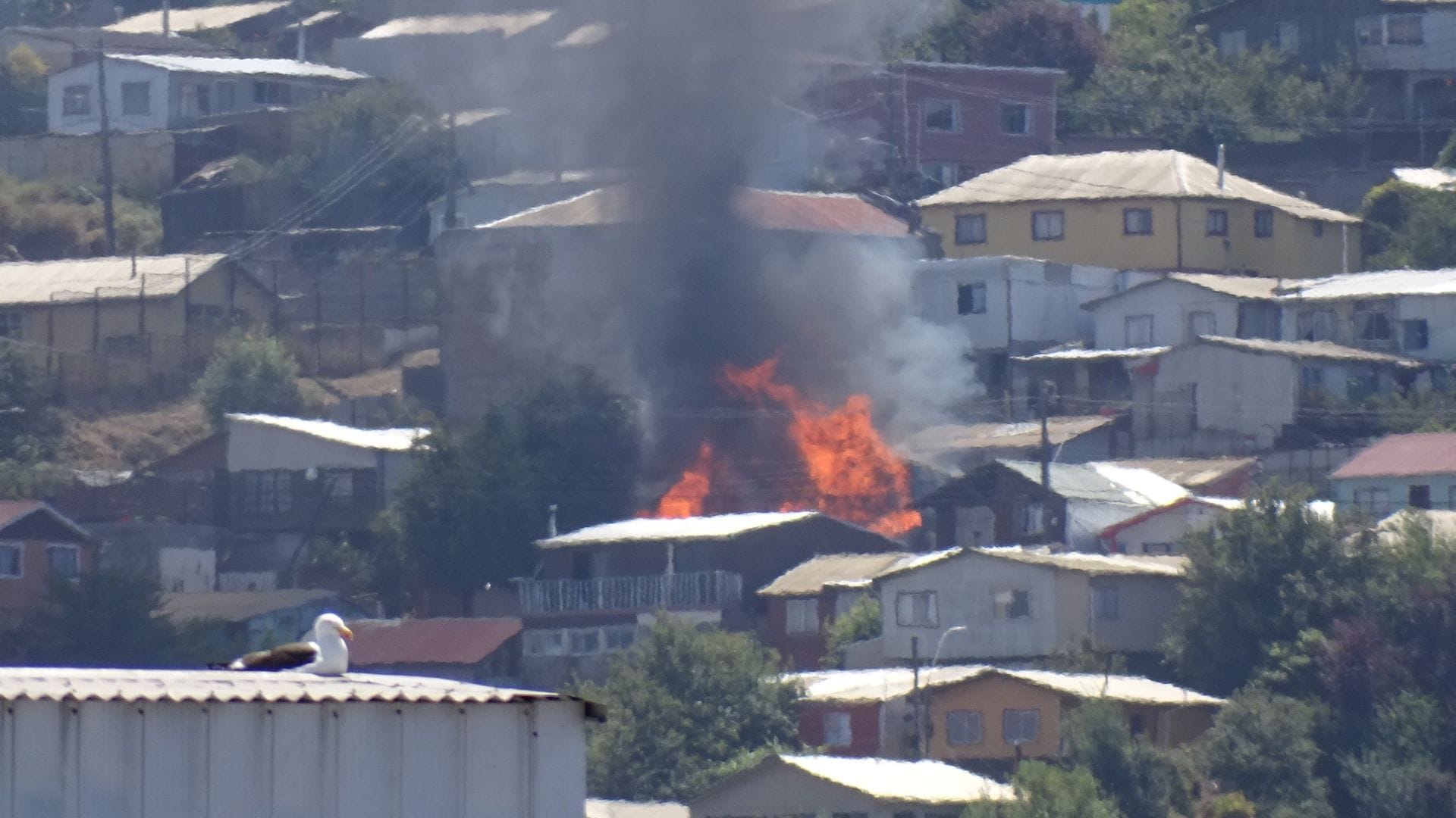 Un adulto mayor fallecido deja incendio en Los Cerros de Talcahuano: Tres casas resultaron quemadas