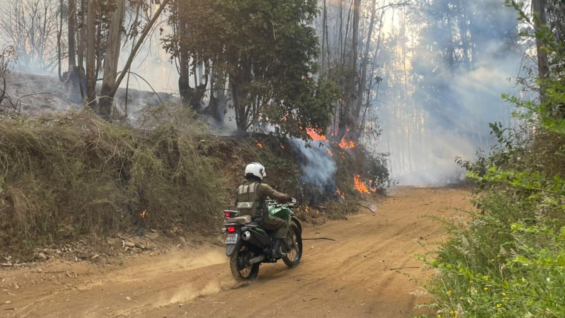 Editorial: No hay comuna en Biobío que pueda afirmar que está libre de los incendios forestales