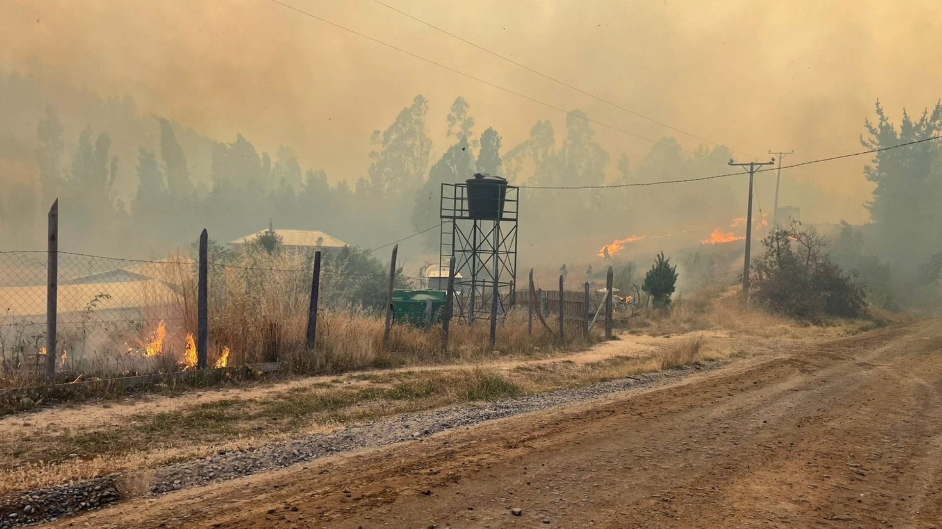 Incendios en el Biobío dejan 20 casas quemadas y una escuela siniestrada