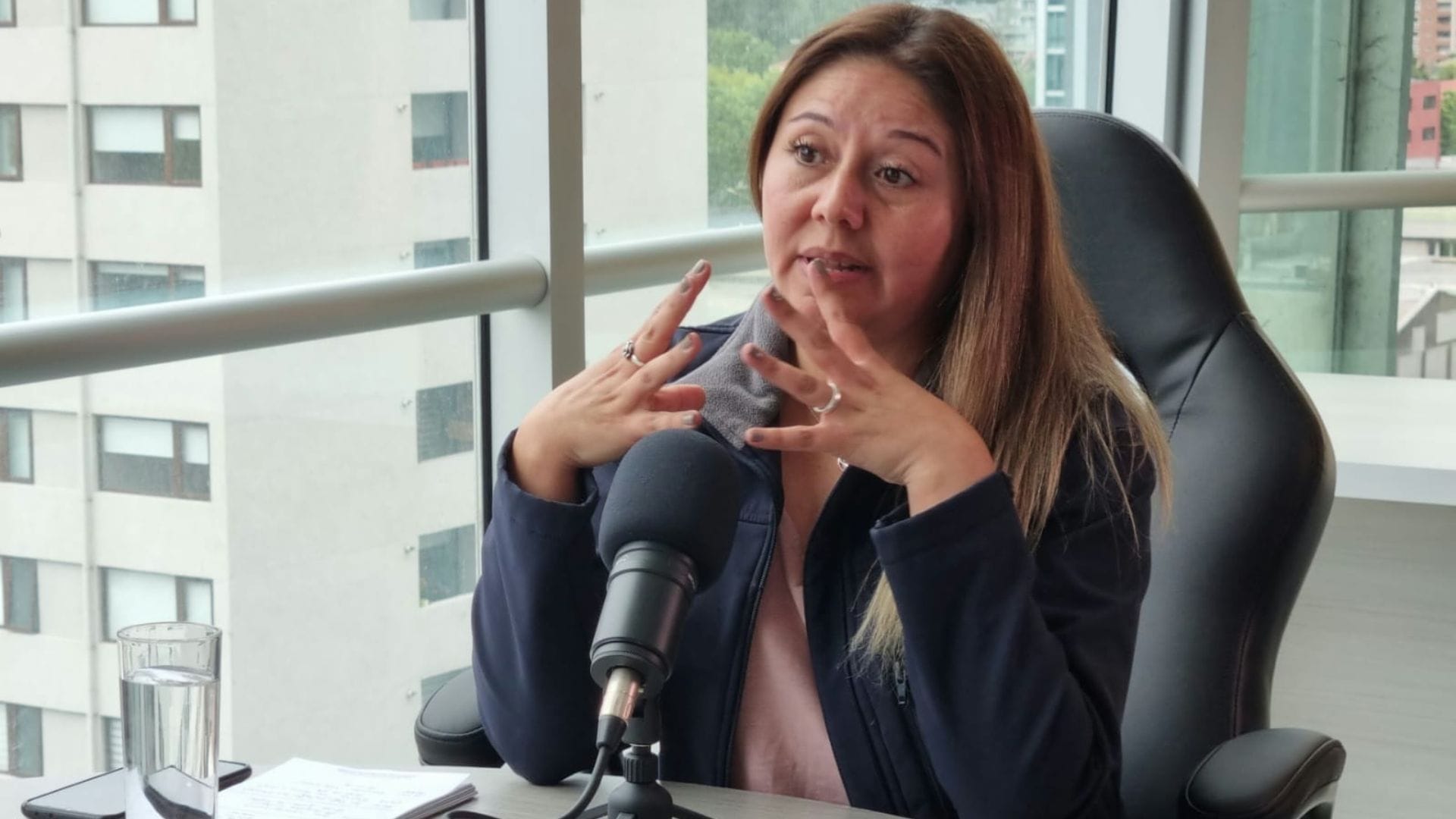 Andrea Aravena Dir(s) ONEMI Biobío: “Período se viene crítico, vamos a tener más olas de calor”