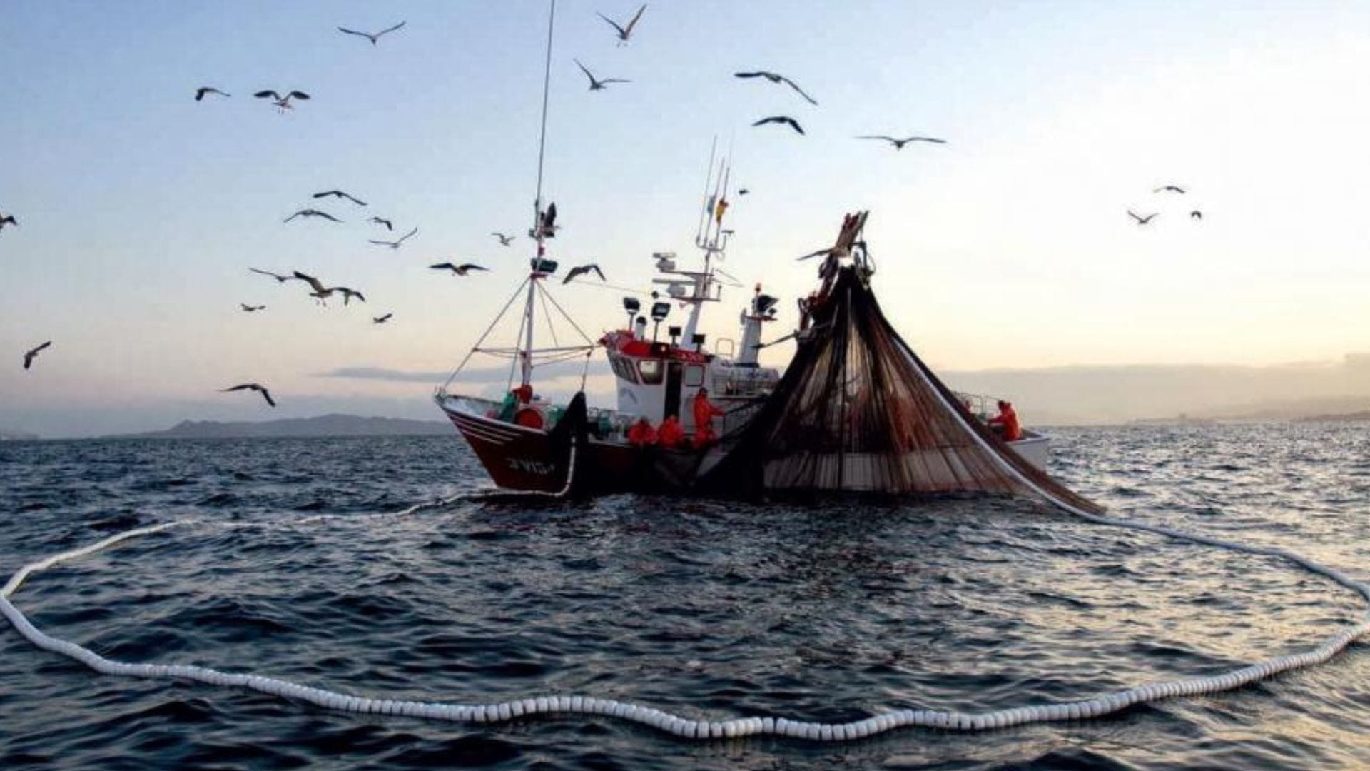 Pesca industrial del Biobío acusa nulo valor del Estado al sector: Piden creación de Ministerio