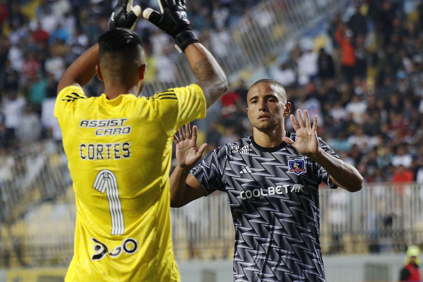 Leandro Benegas va a la pelea por consagrarse como el delantero titular de Colo Colo