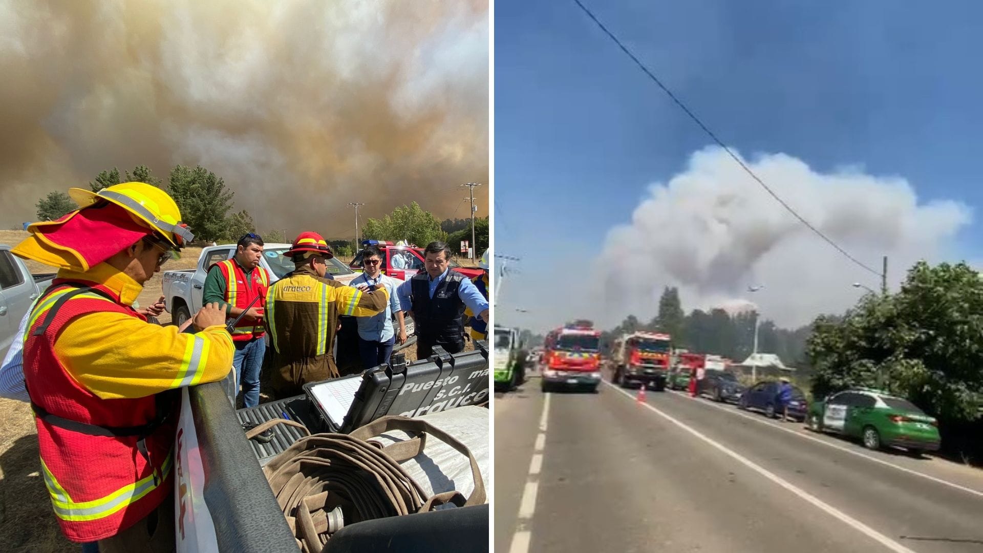 Tras evacuación en Ránquil ante feroz incendio forestal: El fuego no dejó viviendas dañadas