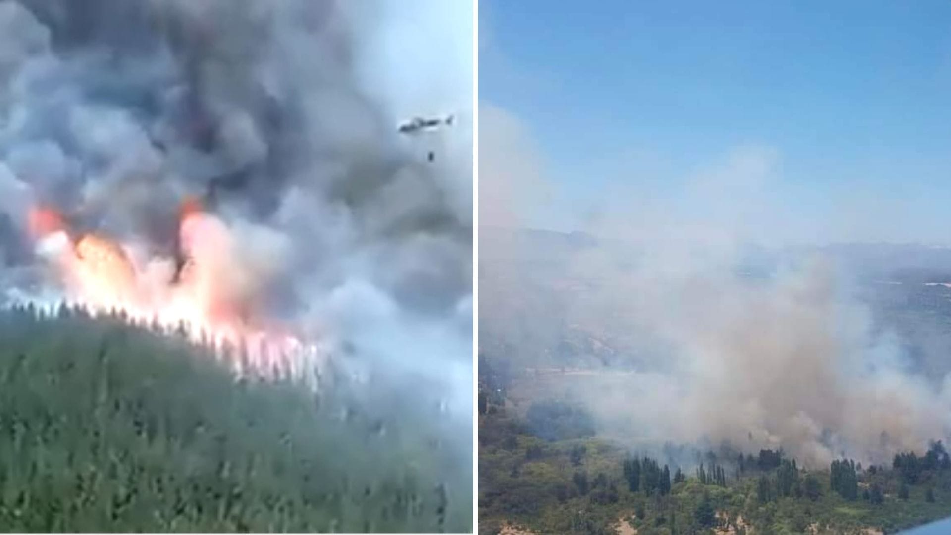 Declaran Alerta Roja para la comuna de Tucapel ante incendio forestal