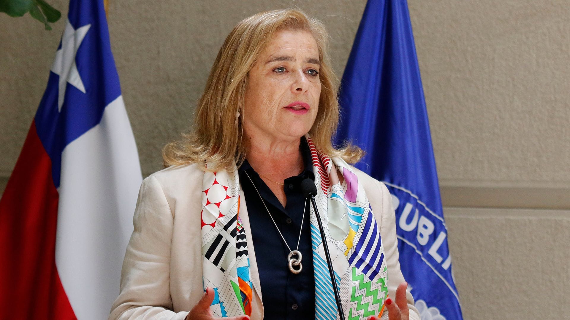 Diputada Flor Weisse respecto a Subsecretaria LGBTQ+: “Me parece un despropósito”