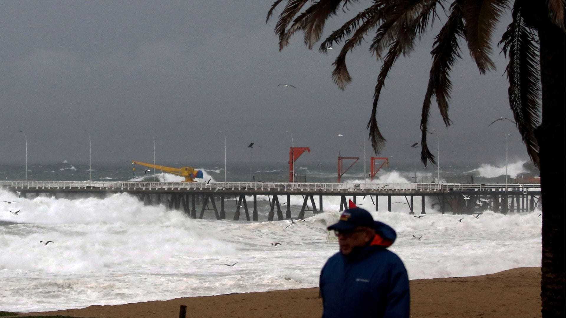 Emiten alerta por marejadas anormales en las costas de Chile: Conoce los días con mayor intensidad de oleaje
