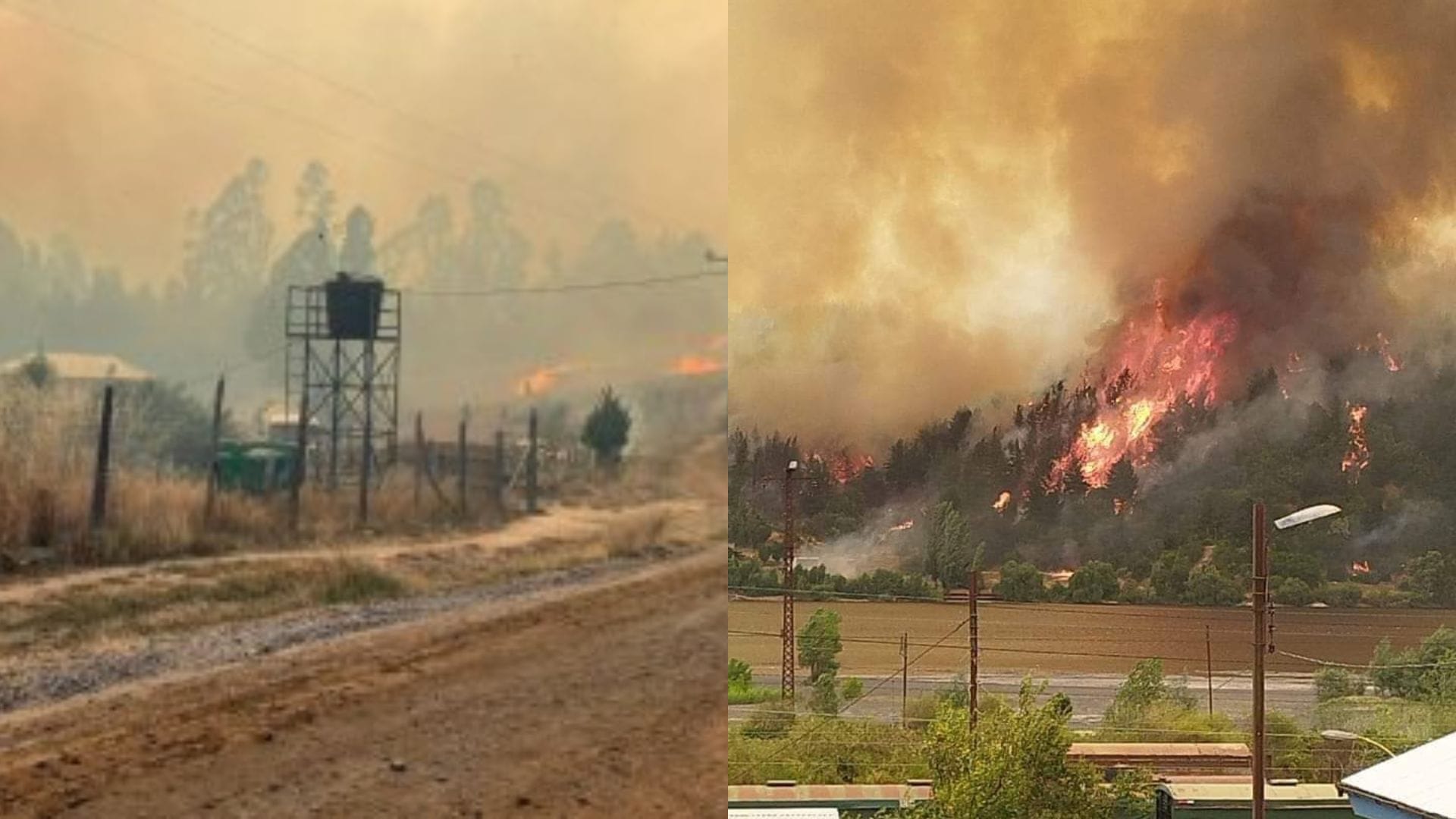 Santa Juana: Buscan decretar zona de catástrofe  para ayudar a familias damnificadas por incendio Forestal